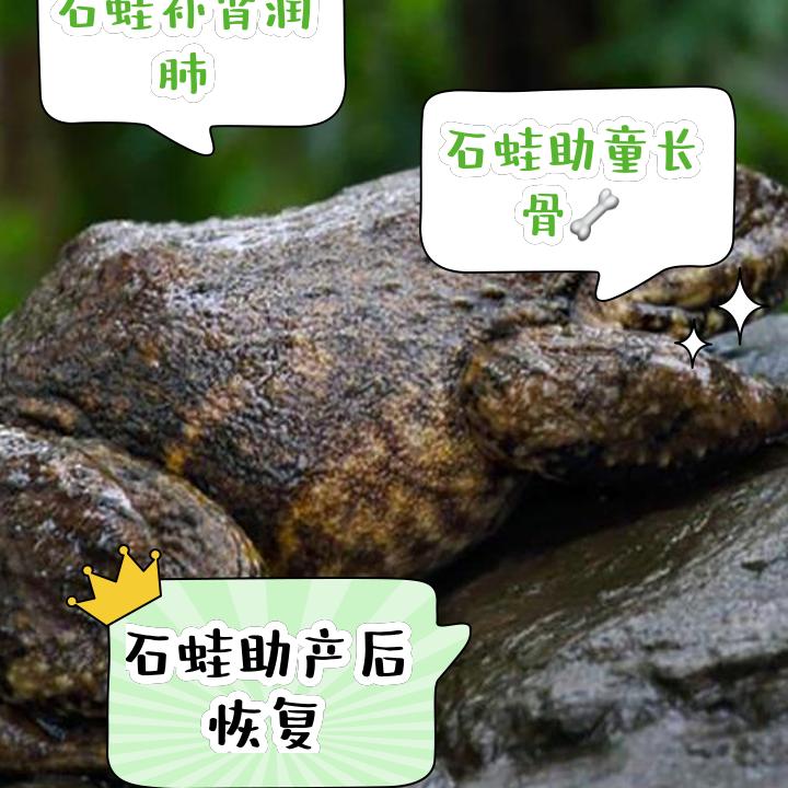蛙蛙鸡