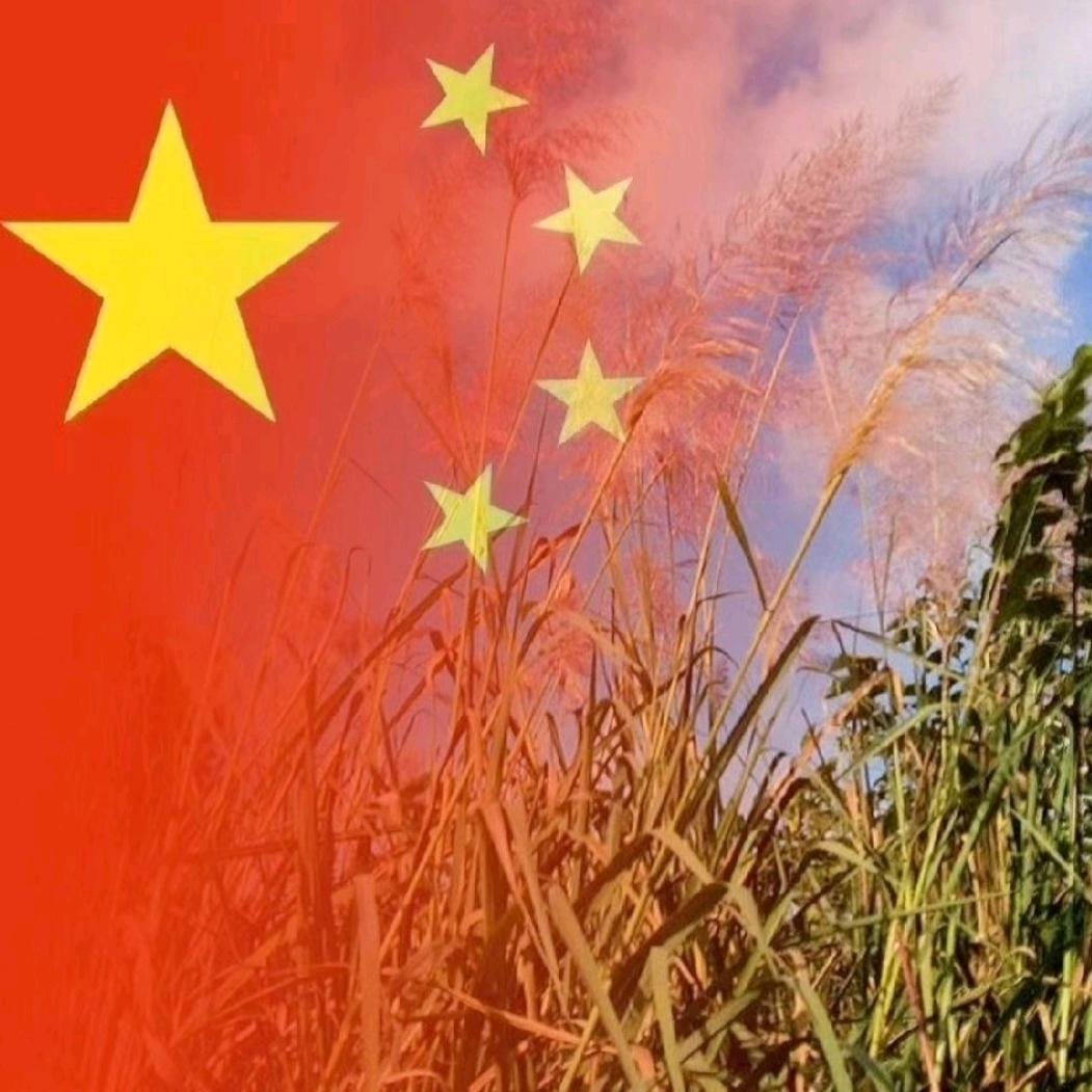 🐼蓝色@枫林🔂邓枫耶邓你🇨🇳
