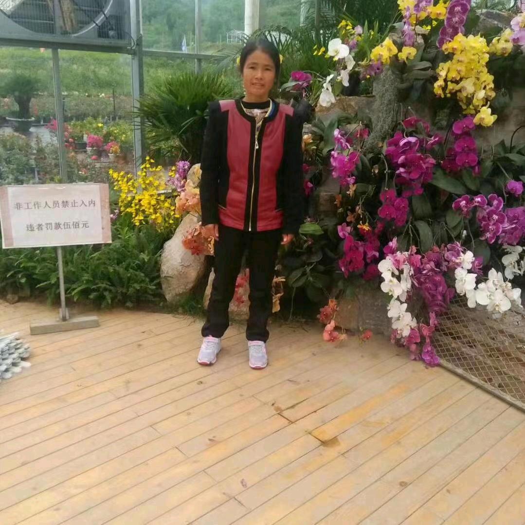 红玫瑰😂😂李