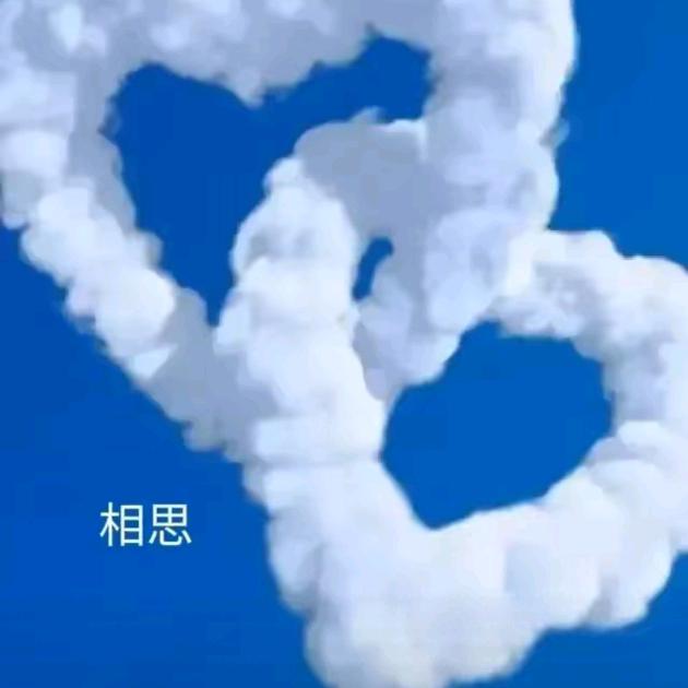 不问归途