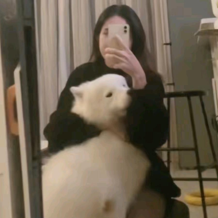 可乐鸡翅❤️
