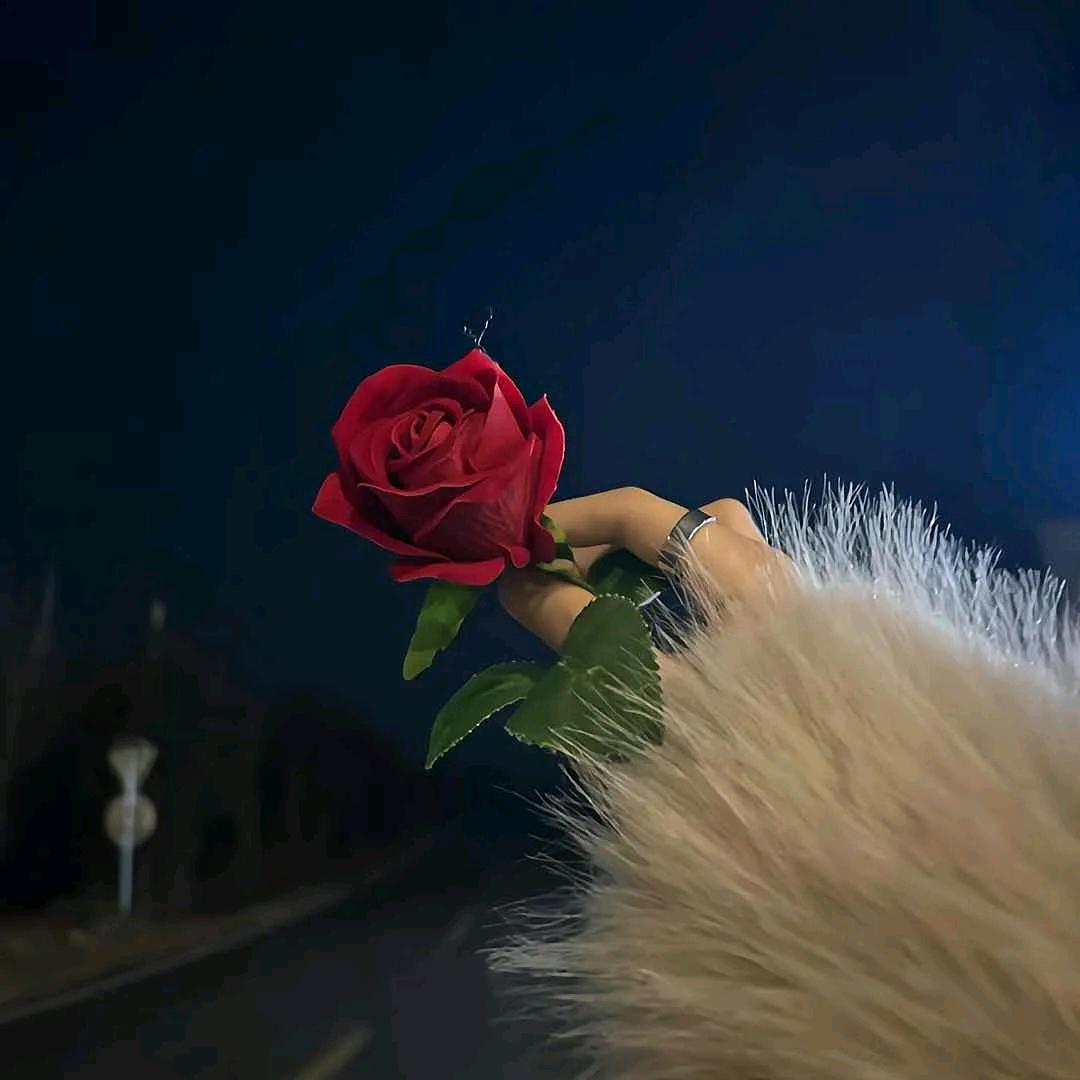 Aurora.♡ 阿涵啊