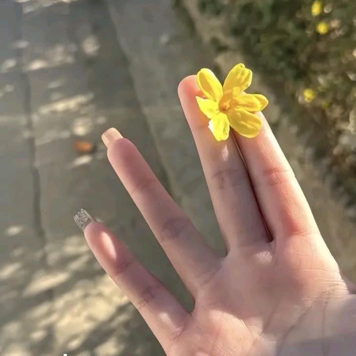 老谢电商直播运营