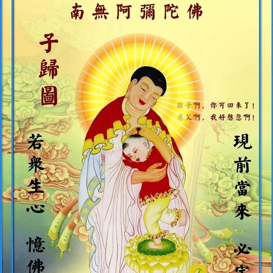 一心向佛2013