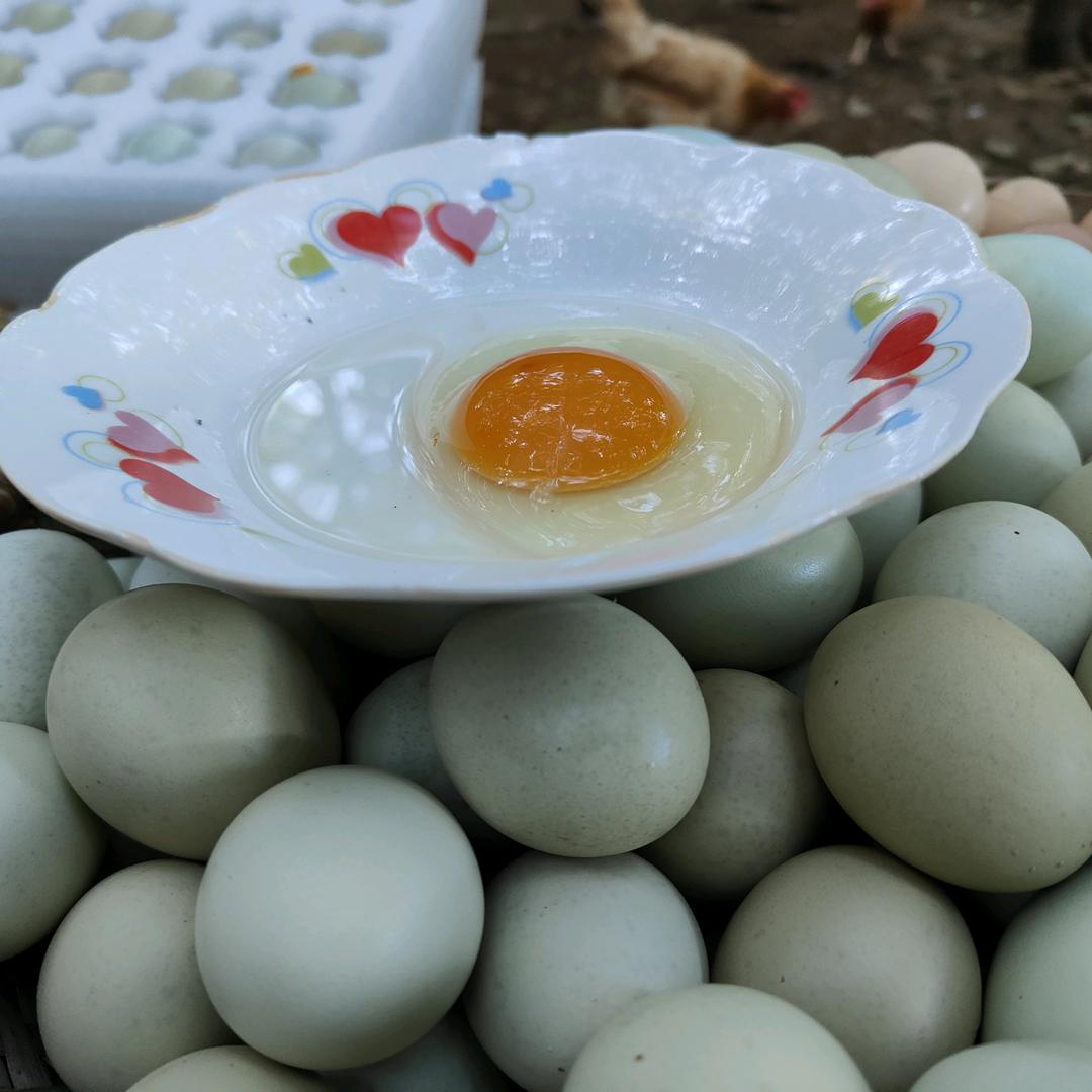 拓展家庭农场种养综合园