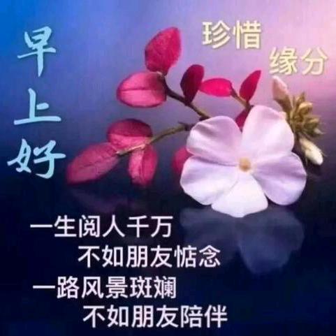 情有独钟