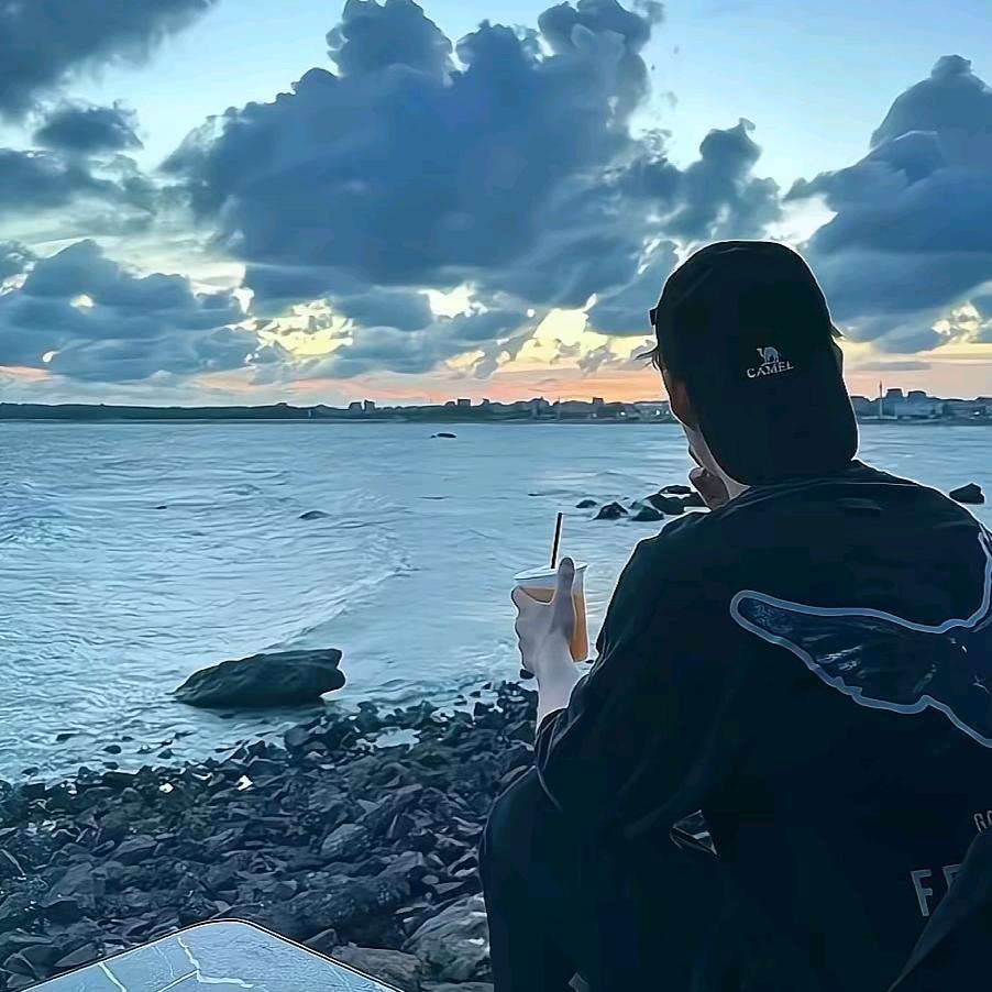 小云朵与李子树