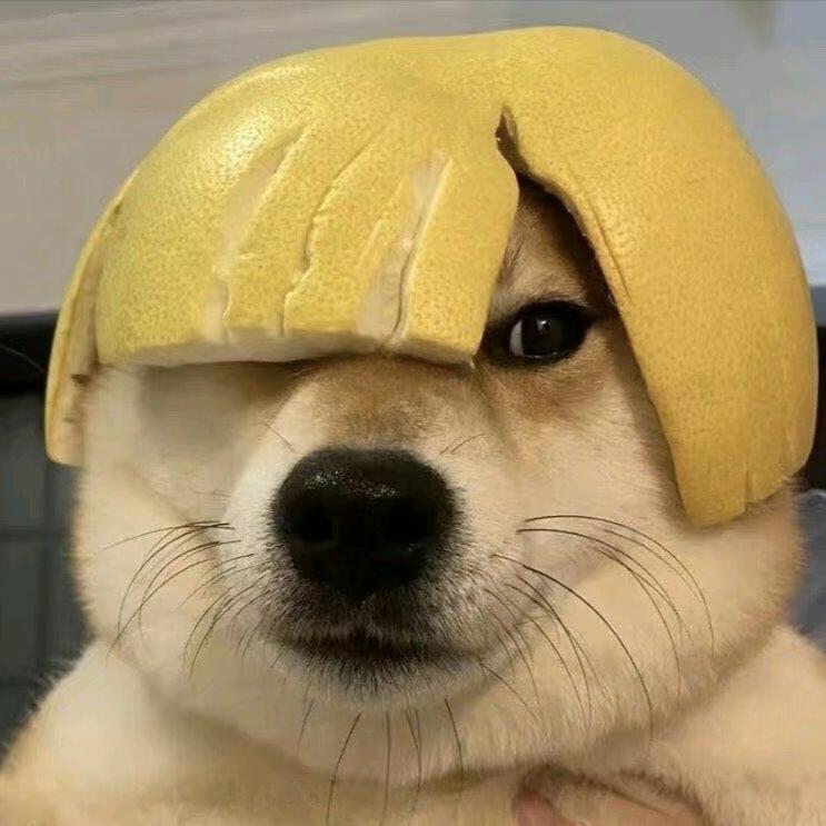 睡不饱