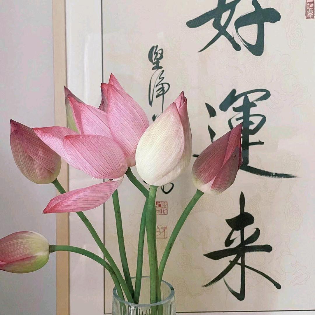 静静呦