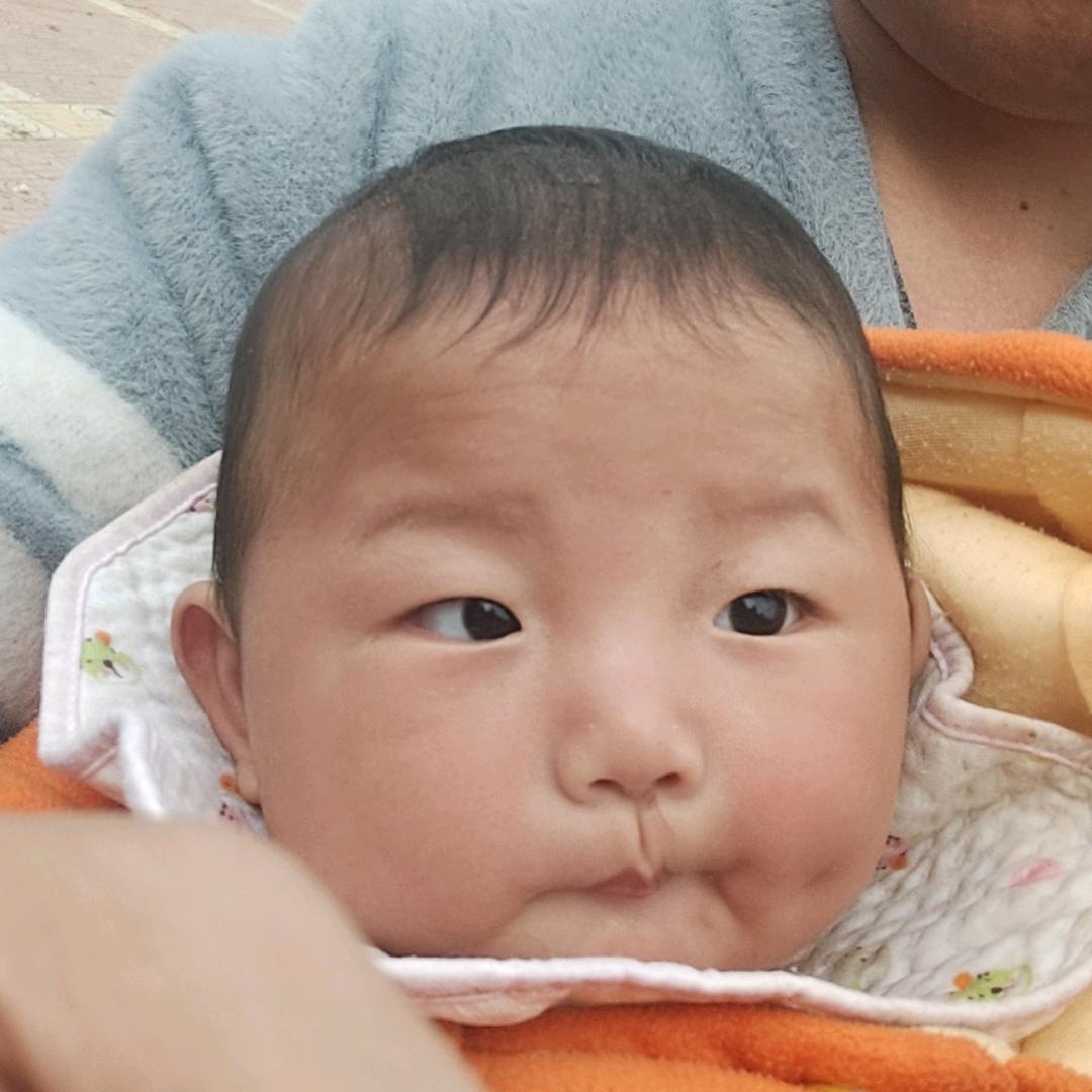 下饭，下饭，下饭，纯属娱乐