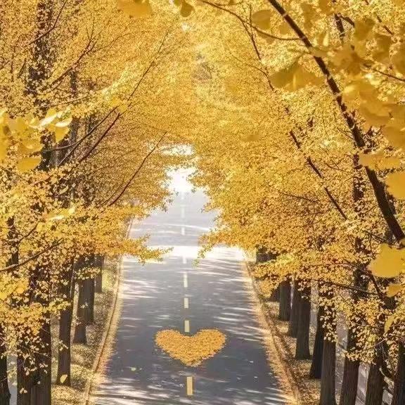 ꧁💞福禄꧔ꦿ᭄ᩚ꯭ᩚ💞᪲相伴