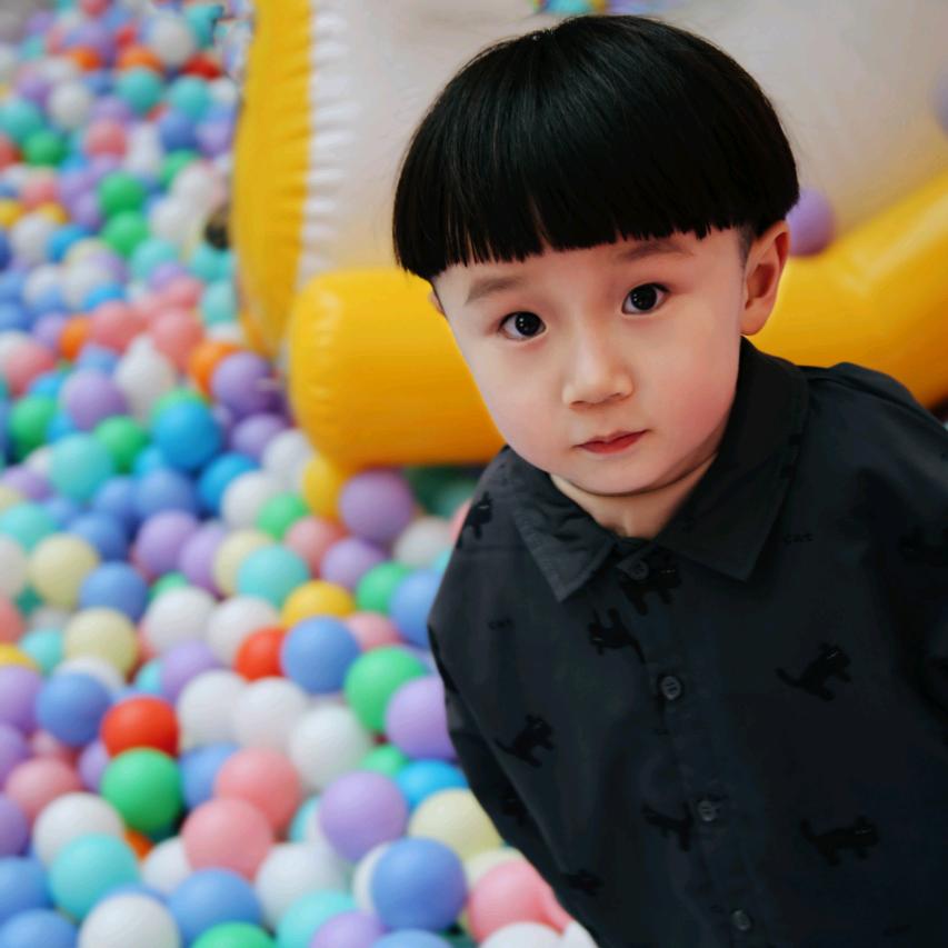 杨子木。