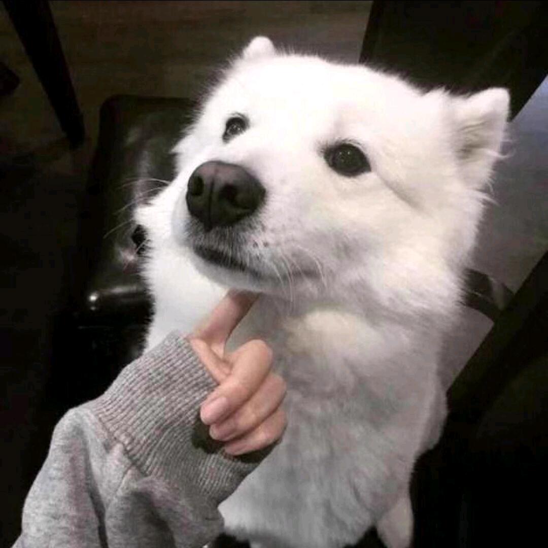 一顿五个包子