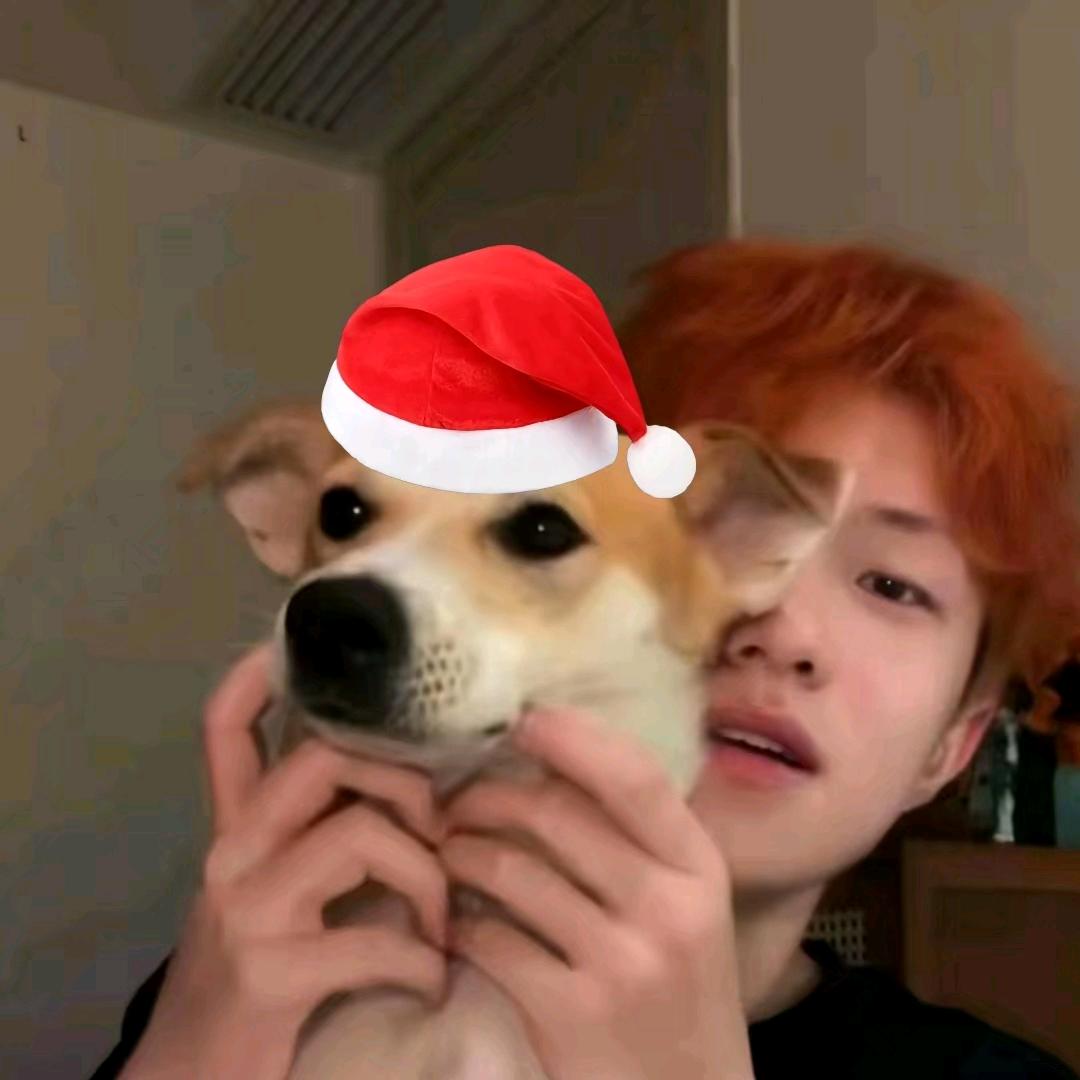 菠萝味的西瓜🍉