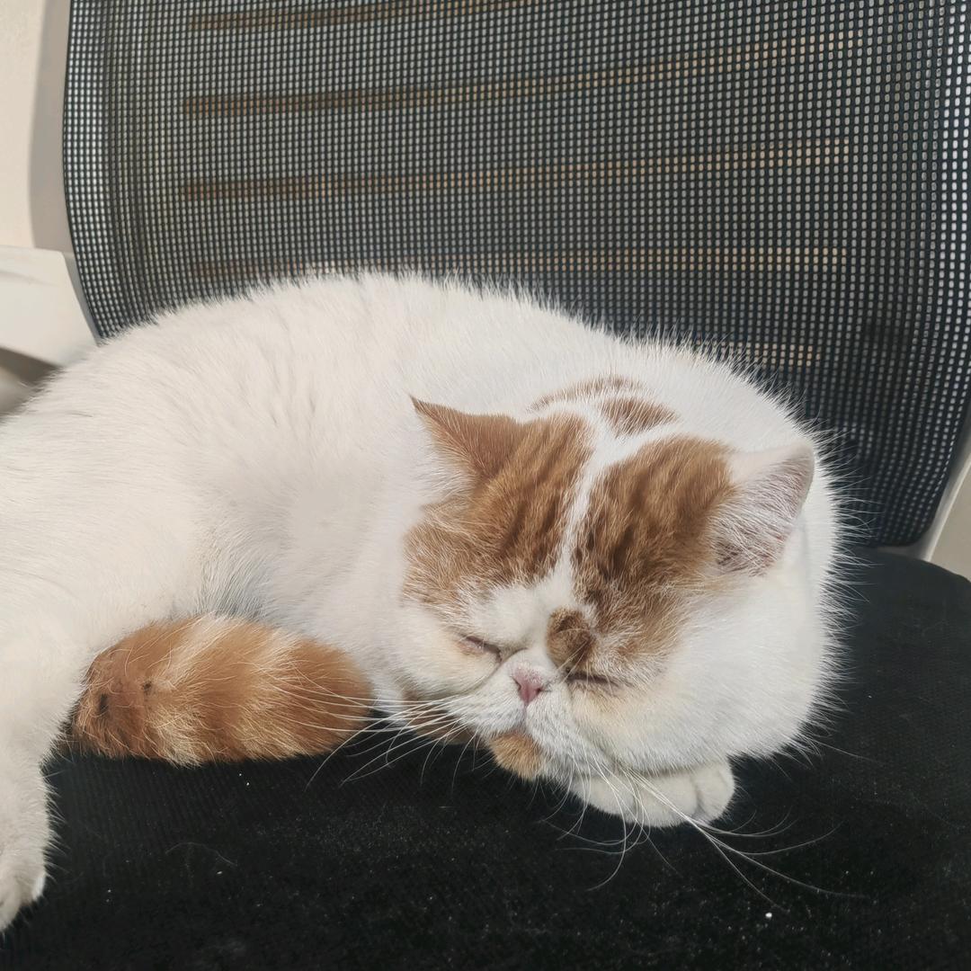 中央空调采暖界的大boss