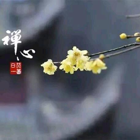 @悦己