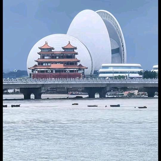 静一（杨姐）