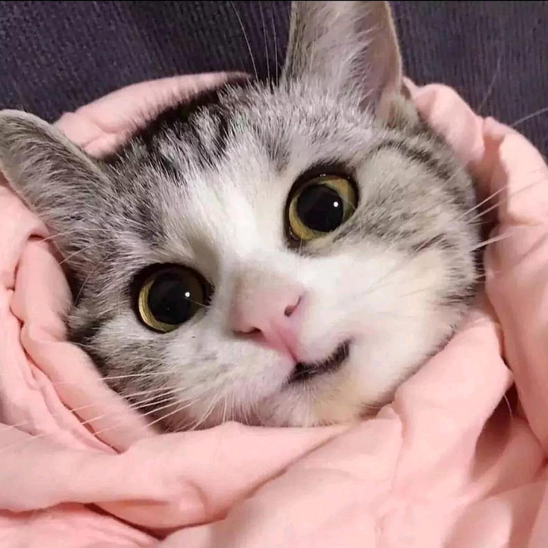 研究‖身