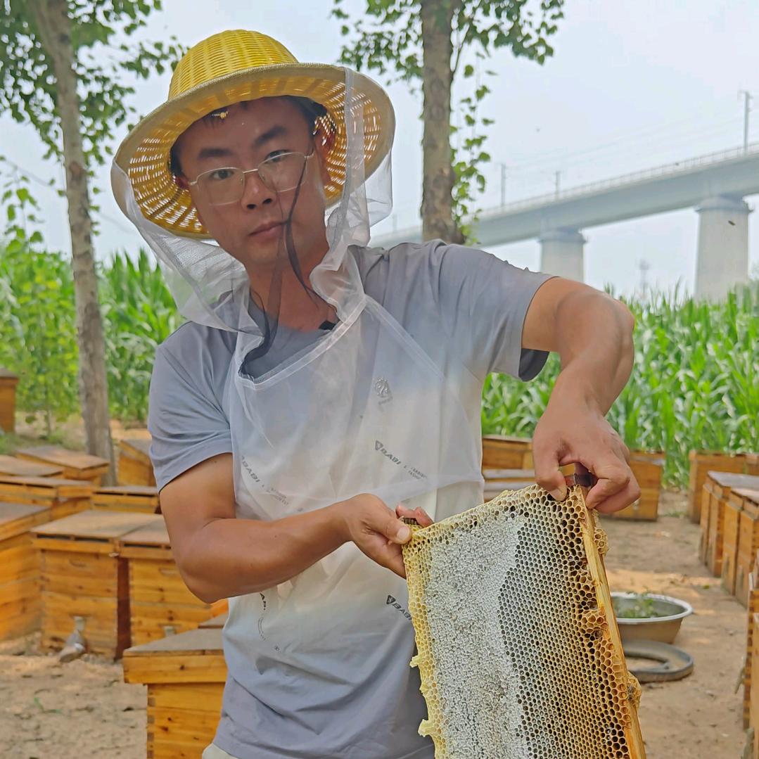 兴义市中蜂养殖店