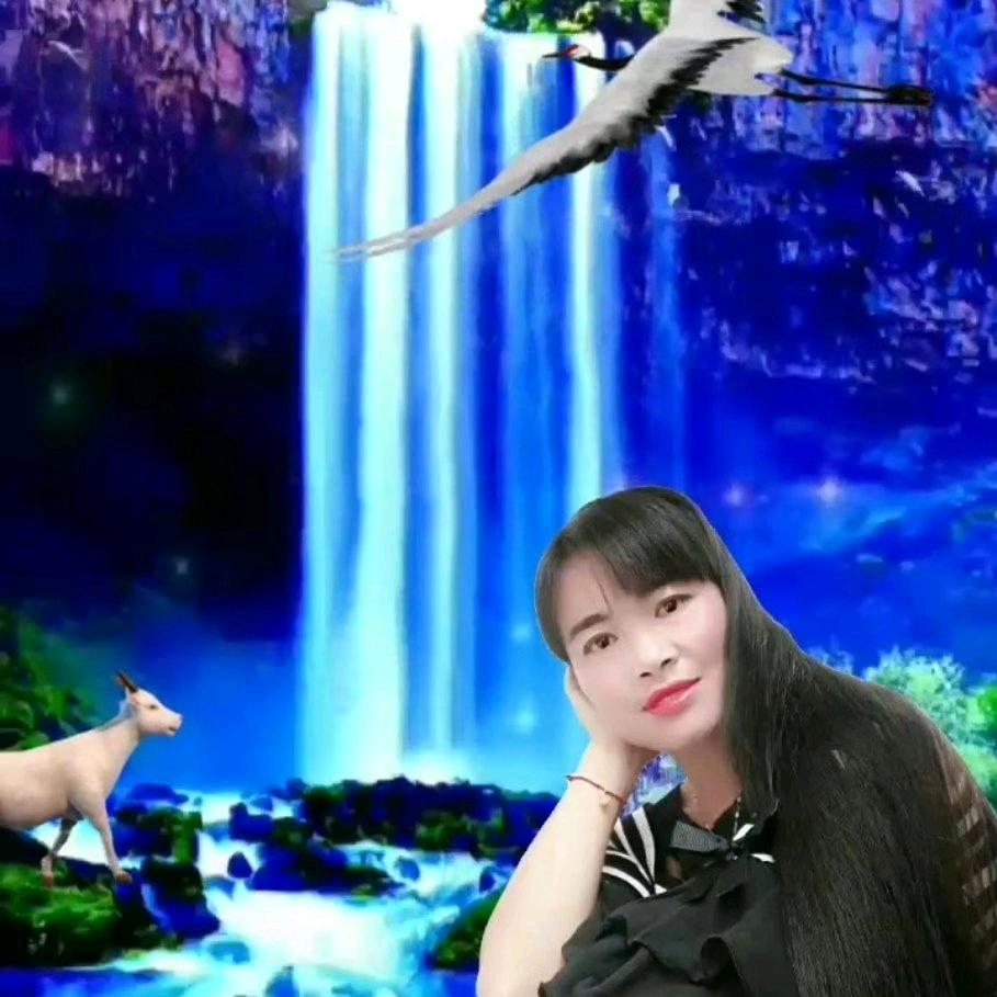 兴仁东湖在水一方 文艺演出花灯舞狮对
