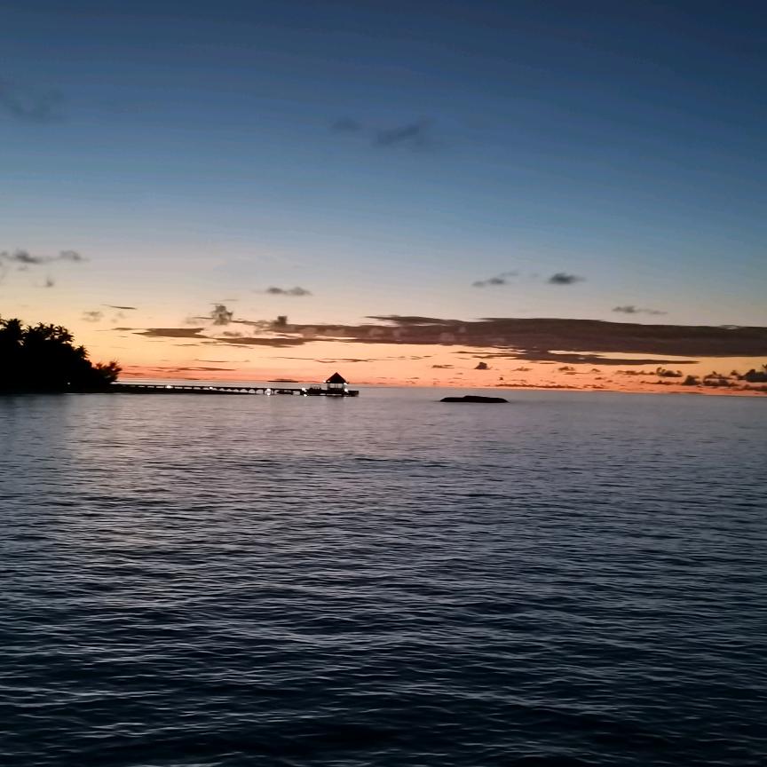 牵着小牛的妈妈