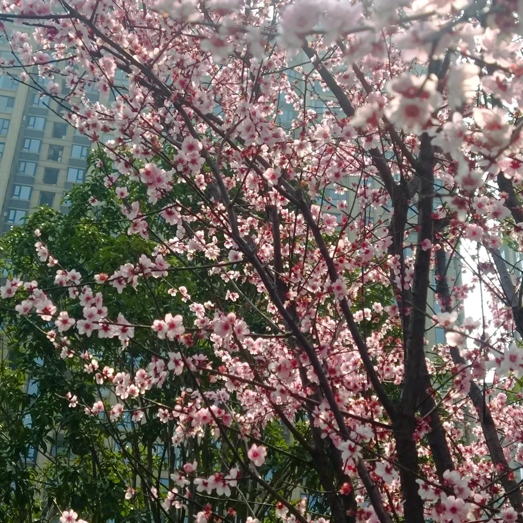 思·想.萱