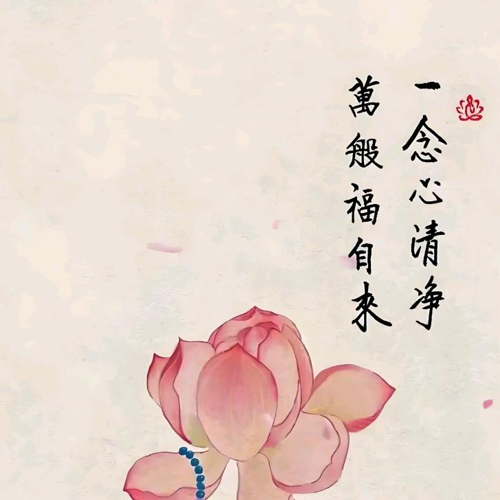 《慈心》高铁商城川妹子麻辣烫