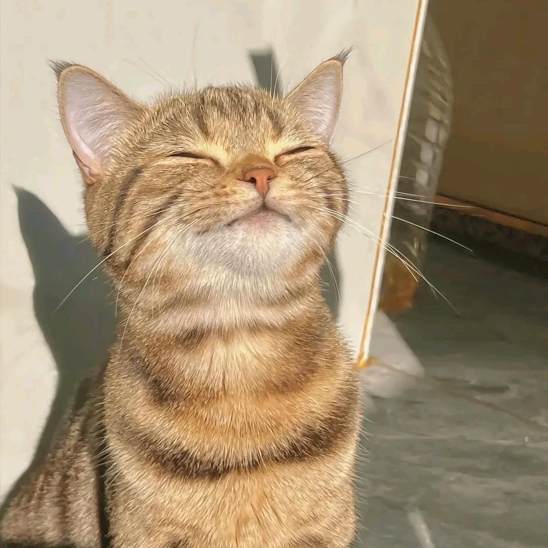 无聊想发什么发什么