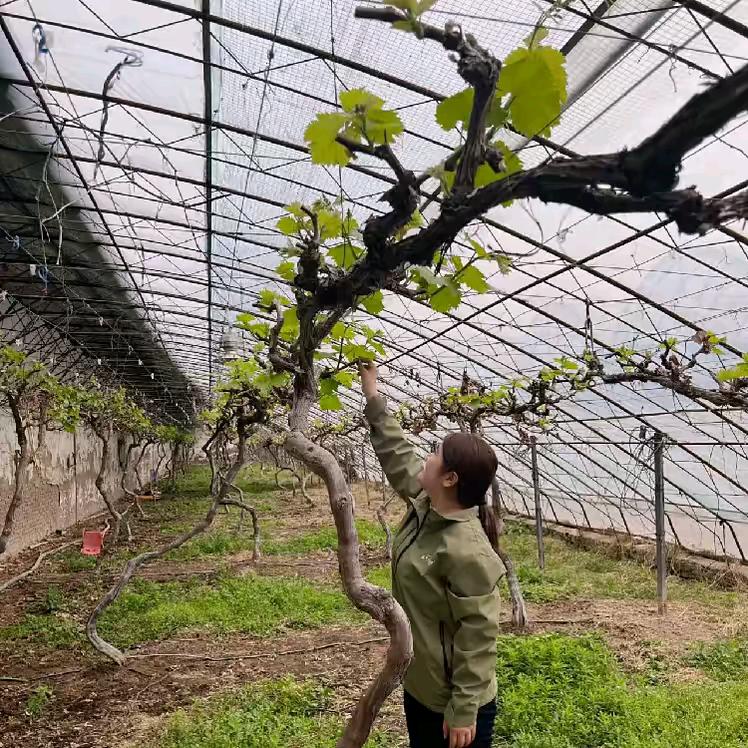 中霖金老师（启汇添香）