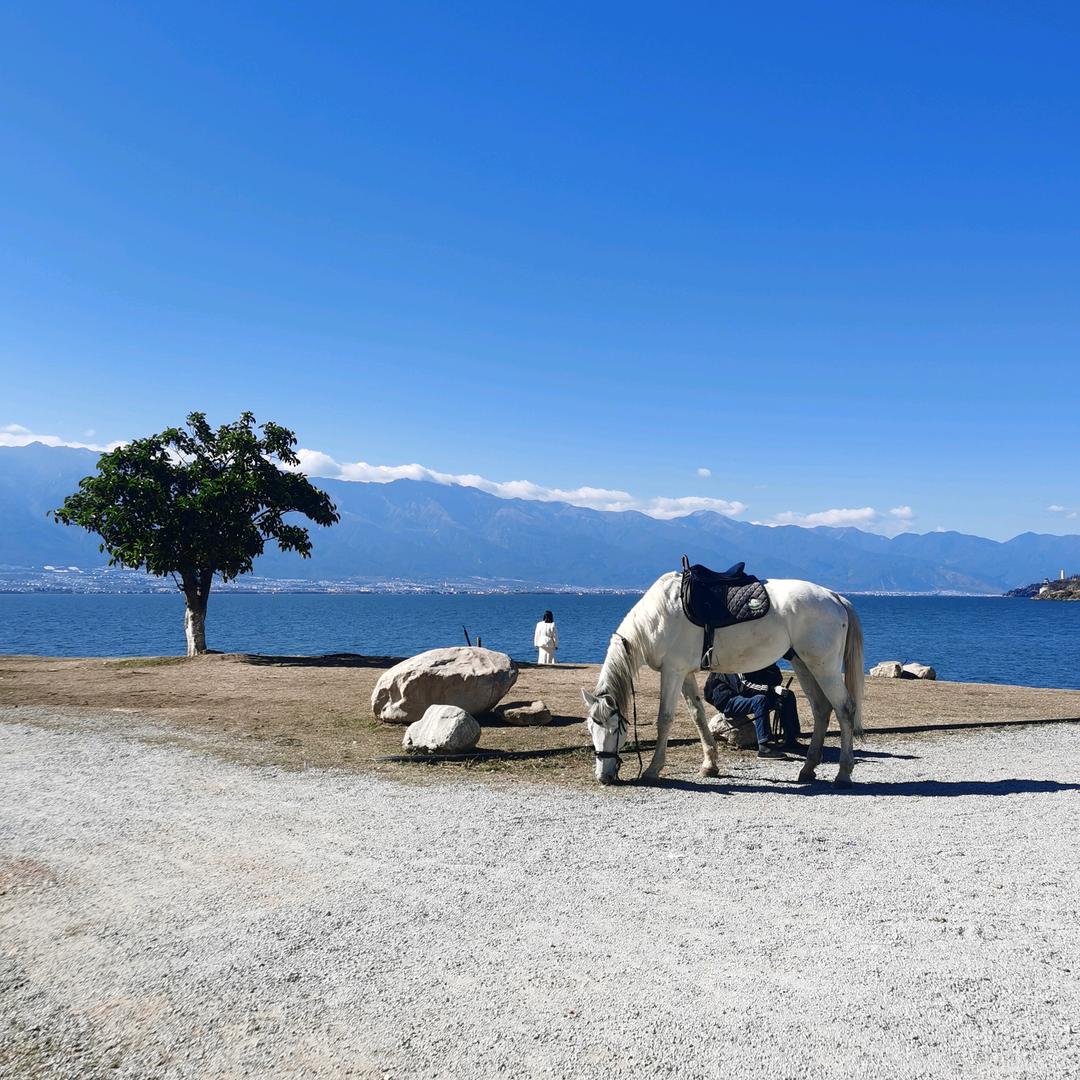 生活旅行官