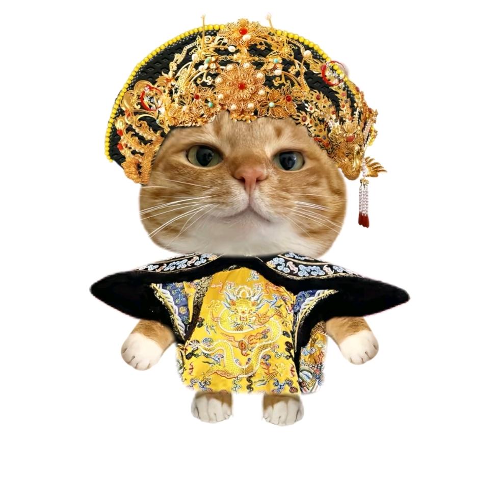 我是小杠精！.𝑠𝑚🍟🦈ˣ⁰⁴⁵