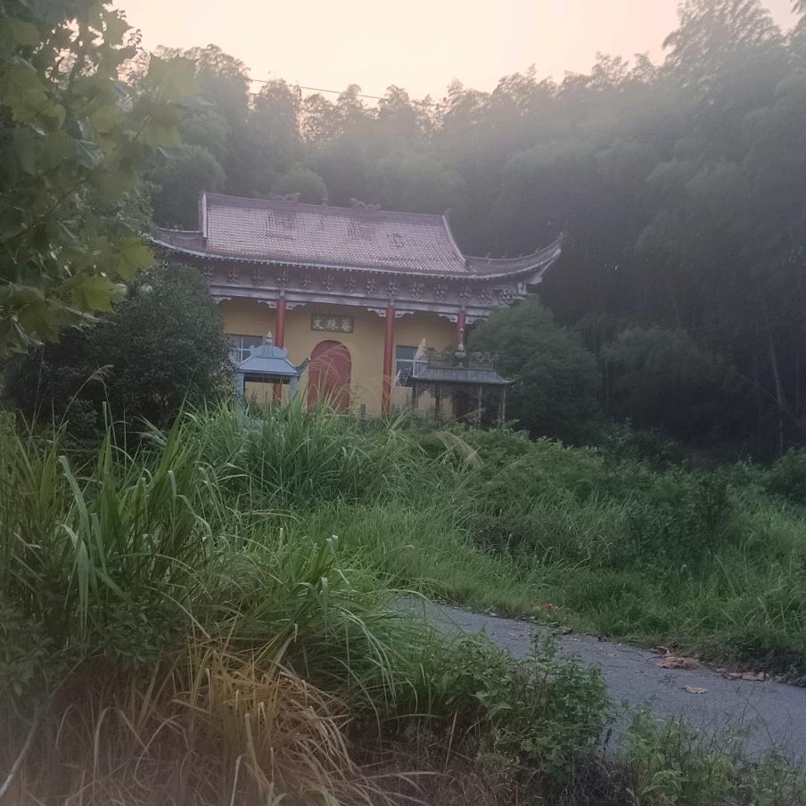 ☞都市🐮🐴☜