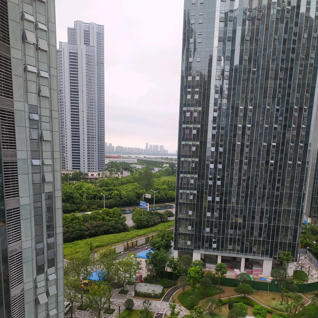 易如破竹