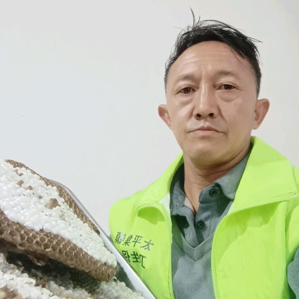 凉山养马蜂平哥《爱山歌》