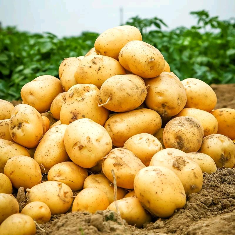 恩施嫂娘子土特产