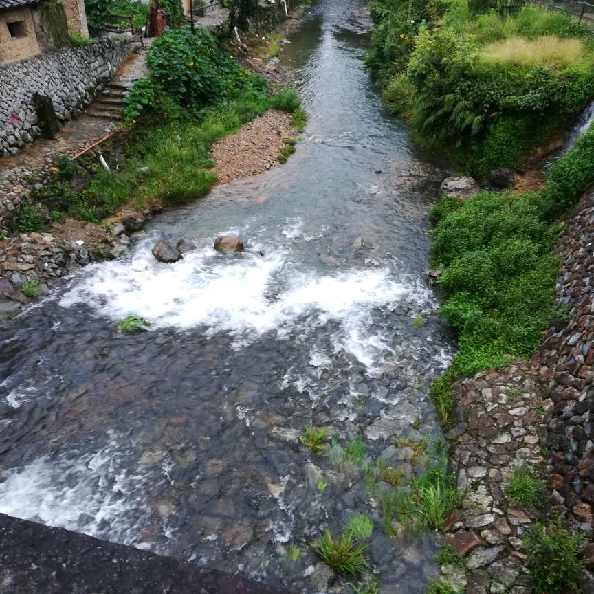 子标