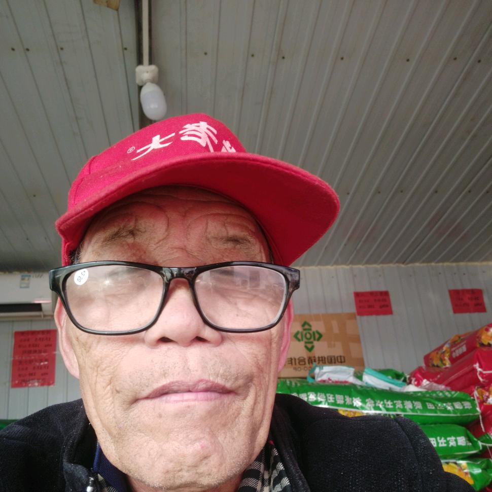 主的小羊