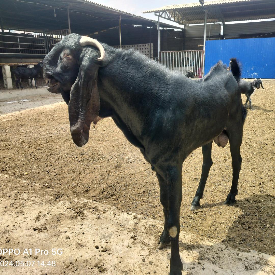 会泽富益养殖场