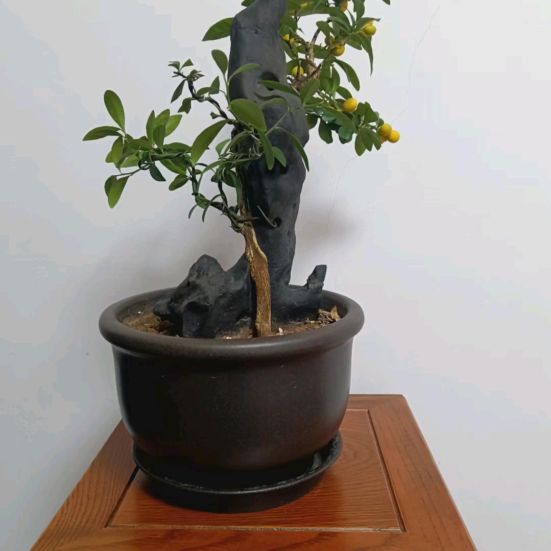 长春聚鑫纱窗