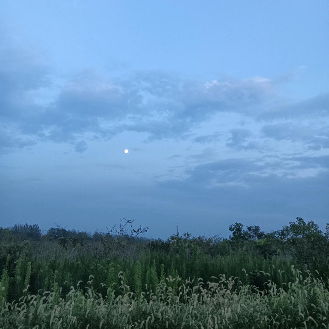 微风一阵。吹落花一地