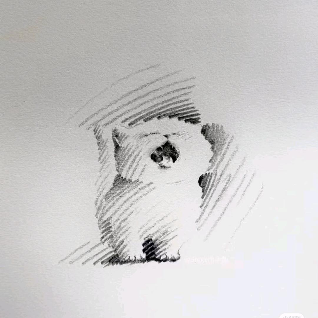 暖宝宝