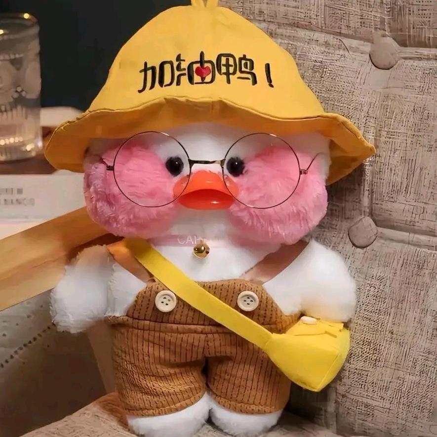 加油鸭