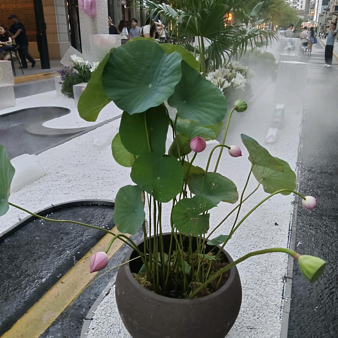 忘记一切