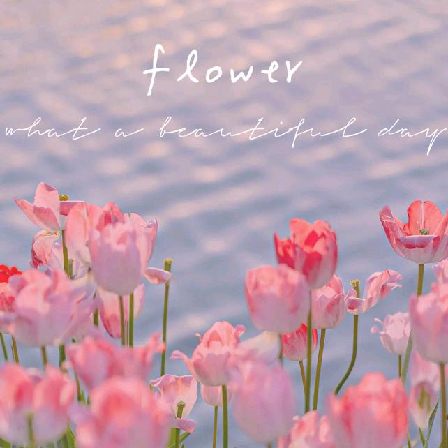 有点拌蛮的女仔