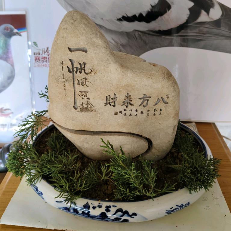 独来独往