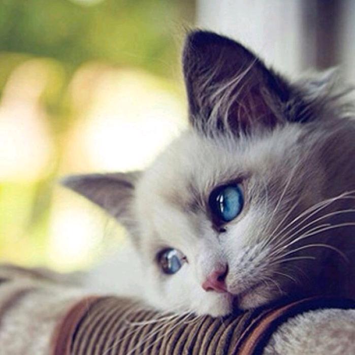 难以抗拒你容颜～