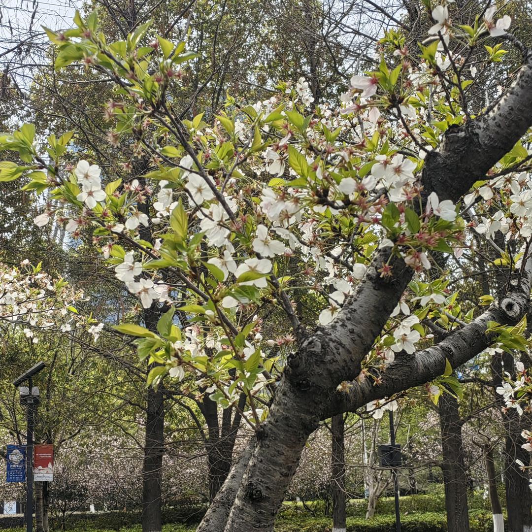 @Tony英语与知识弹药库 💣