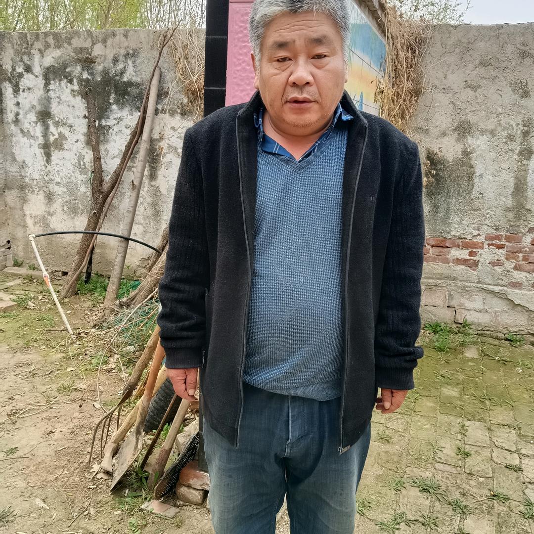 一杯淡淡的清茶