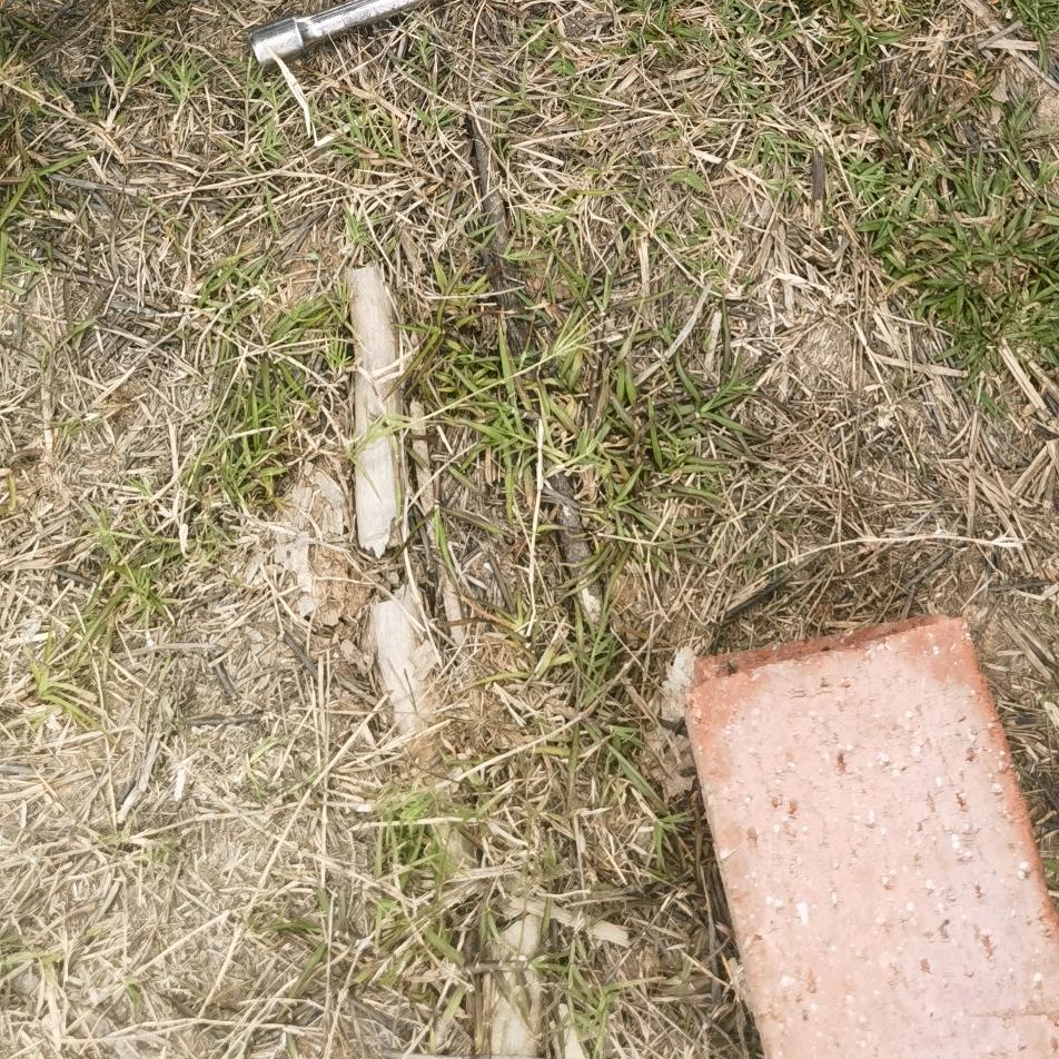 木炭哥