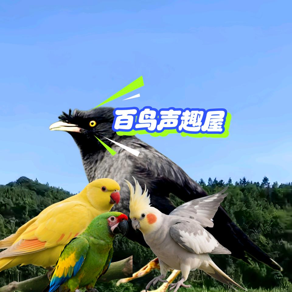 百鸟声趣屋